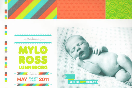 BrookeLunneborg_mylo_01