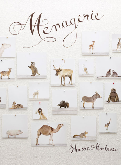 sharonmontrose_menagerie_01