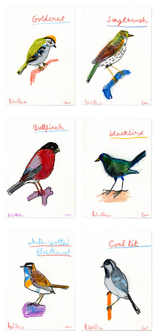 robertclarke_birds