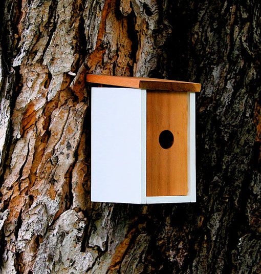 etsyfinds_burdhaus_05
