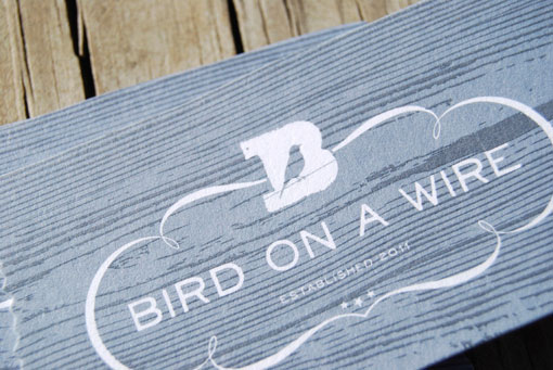 codo_birdonwire_03
