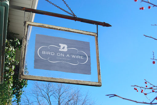 codo_birdonwire_06