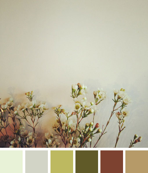 colorhappy_166