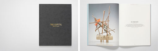 fod_thecapitol_05