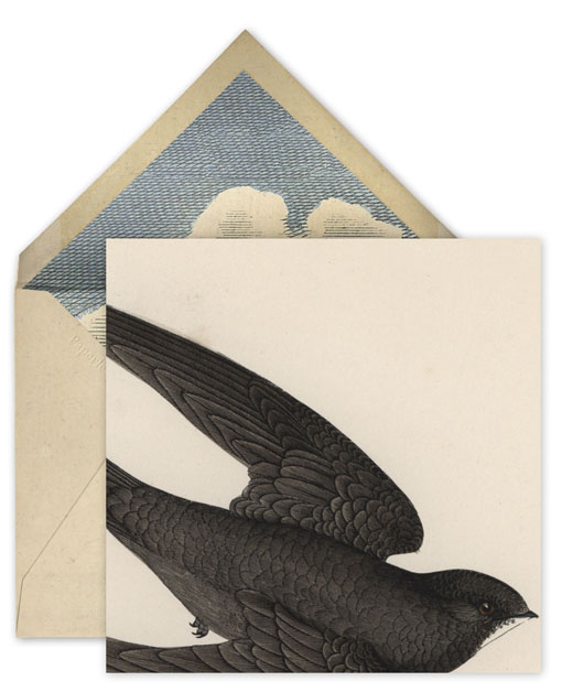 paperlesspost_johnderian_04