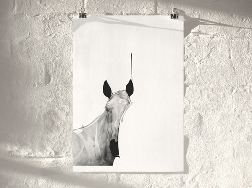 ShopVon2012_HelloVon_Horse01_01_1_800