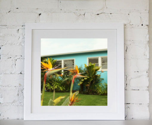 etsyfinds_lucysnowe_05
