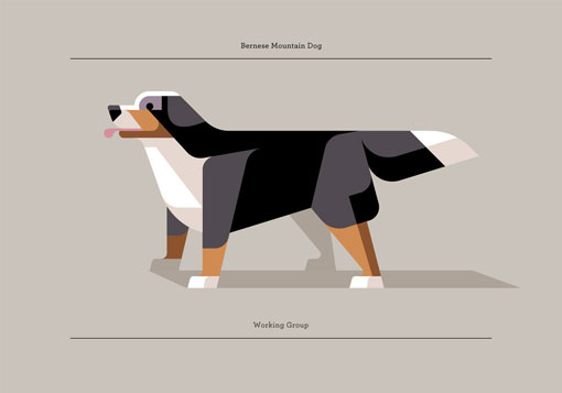 lumadessa_canine_02