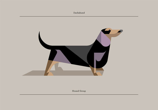 lumadessa_canine_03