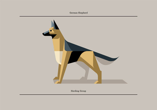 lumadessa_canine_04