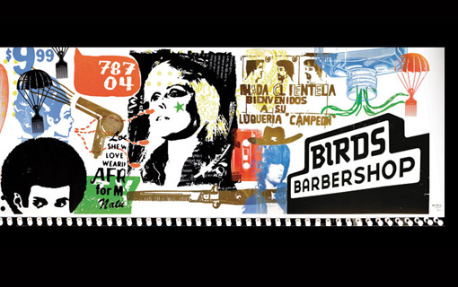 bryankeplesky_birds_lamar_04
