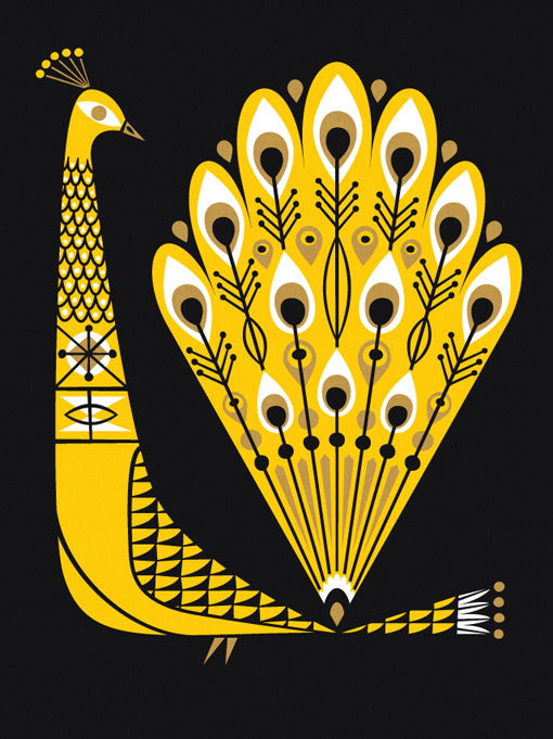 labpartners_peacock_01