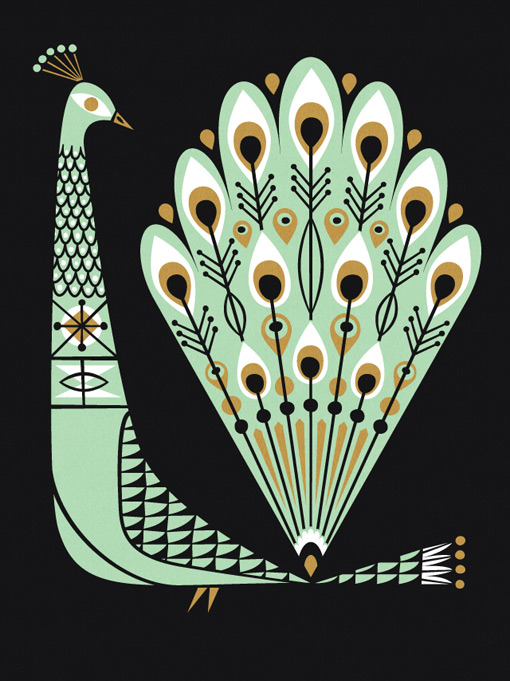 labpartners_peacock_05