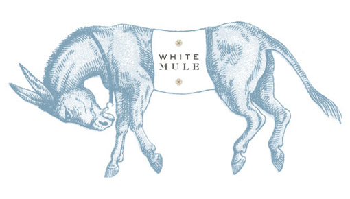 gabriellewilson_whitemule_01