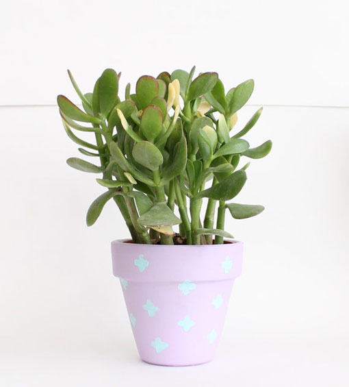 EtsyFinds_UpperTiny_02
