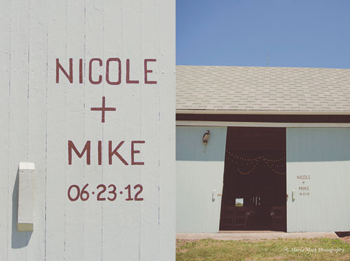 nicolemike_wedding_15