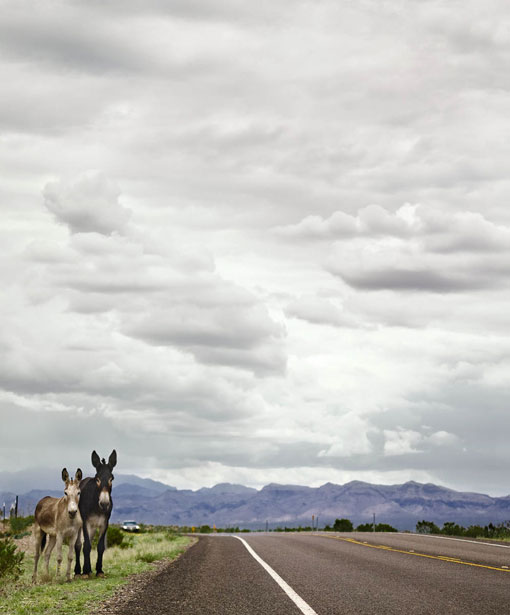 JayBSauceda_WestWestTexas_03