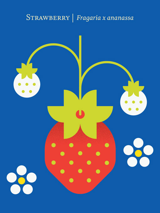 chrisdina_fruit_04