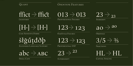 typelove_quant_03
