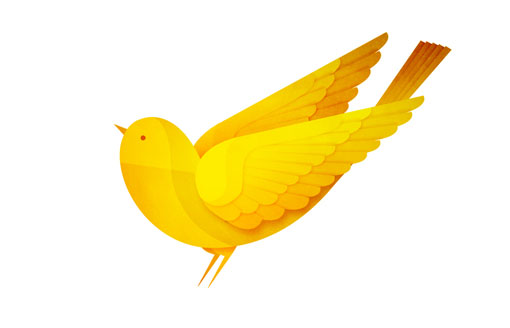 AndrewLyons_Birds_02