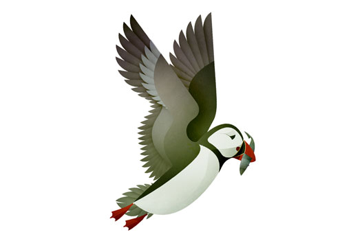 AndrewLyons_Birds_03