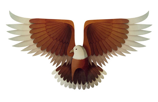 AndrewLyons_Birds_06