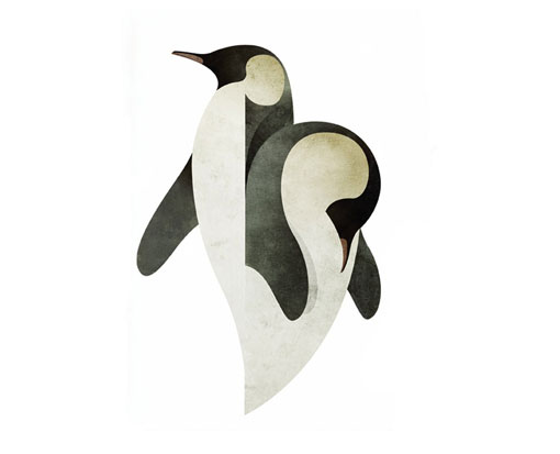 AndrewLyons_Birds_07