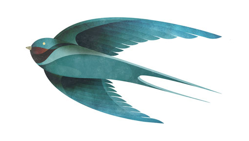 AndrewLyons_Birds_08