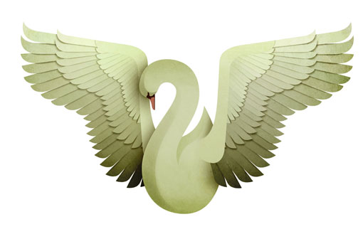 AndrewLyons_Birds_09