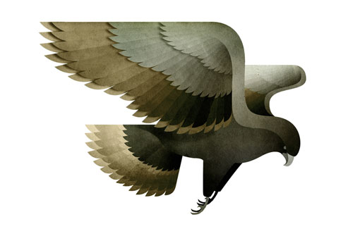AndrewLyons_Birds_10