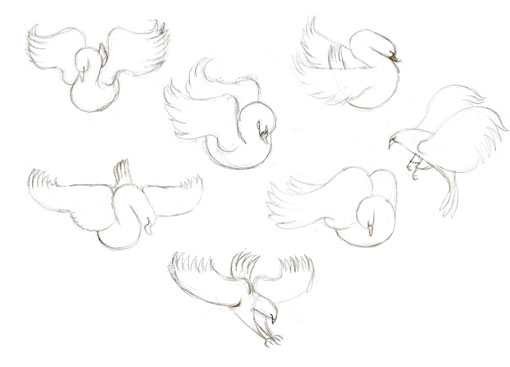 AndrewLyons_Birds_12