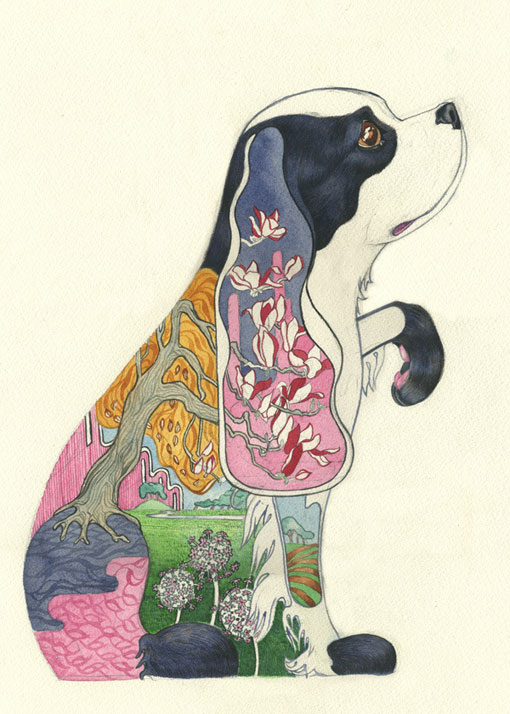 DMCollection_AnimalPrints_05