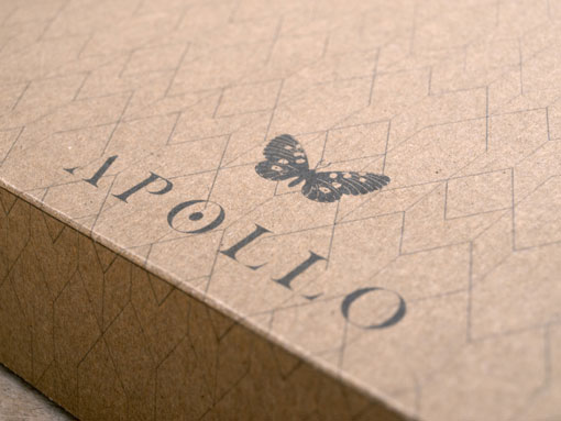 Tiffany R. Hsu: Apollo Identity and Collateral
