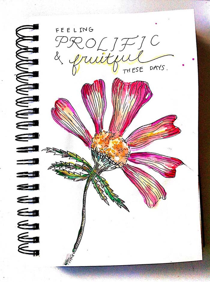 Emma Fick: Snippets / on Design Work Life